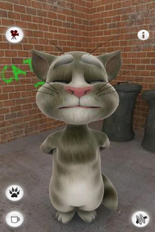 会说话的汤姆猫